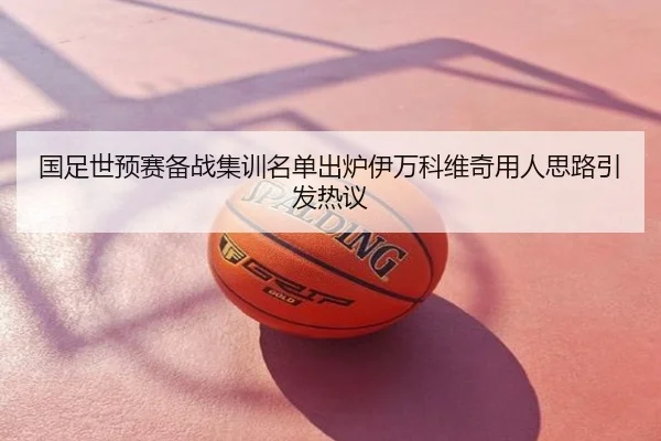 国足世预赛备战集训名单出炉伊万科维奇用人思路引发热议